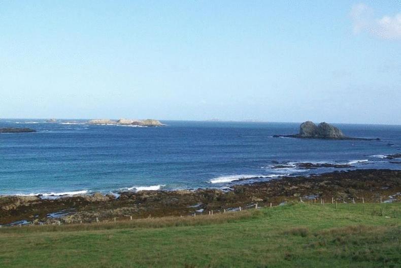 The Seaview Tavern Ballygorman Luaran gambar